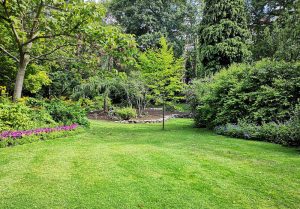 Optimiser l'expérience du jardin à Ligny-en-Brionnais
